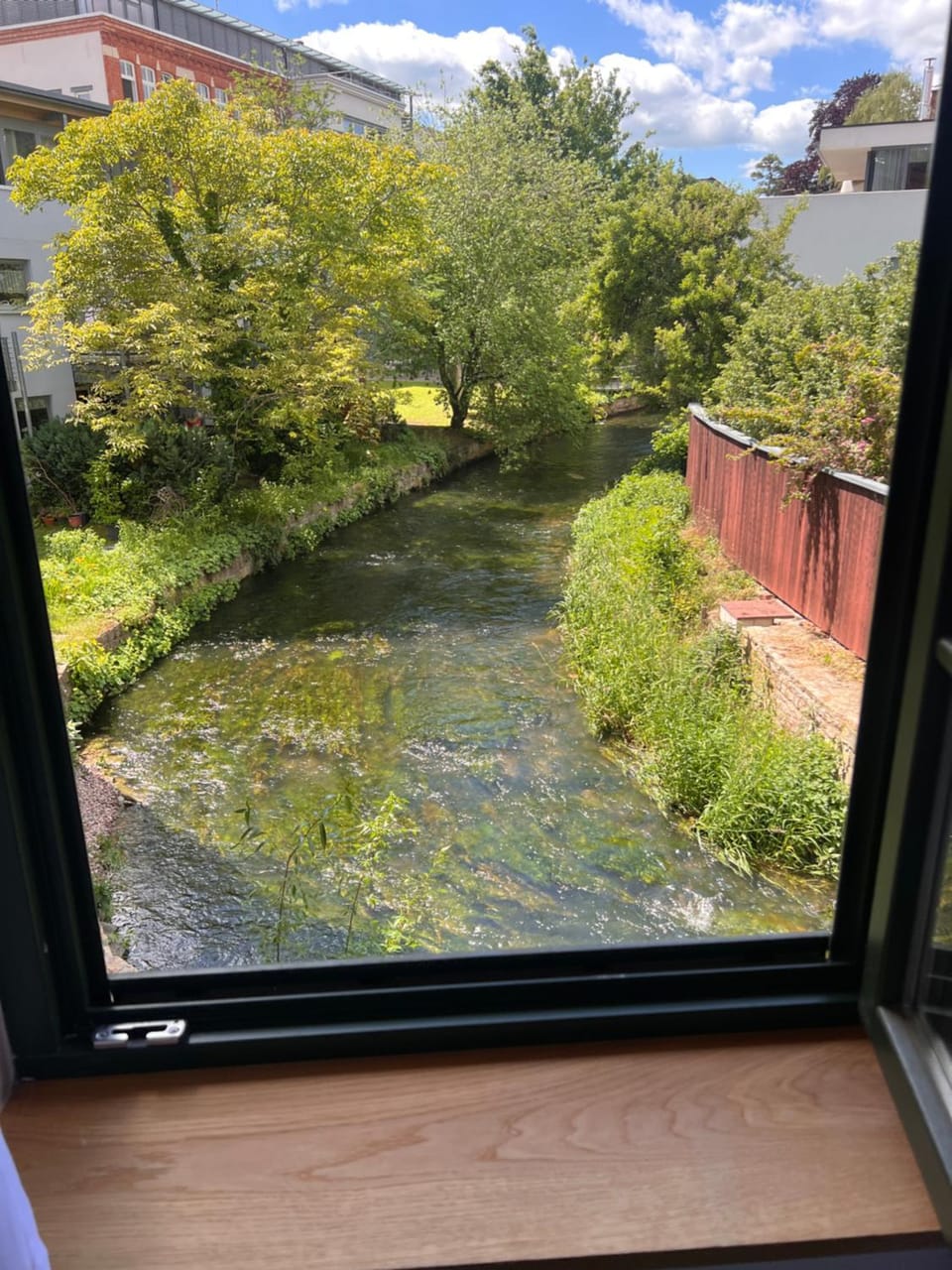 River view