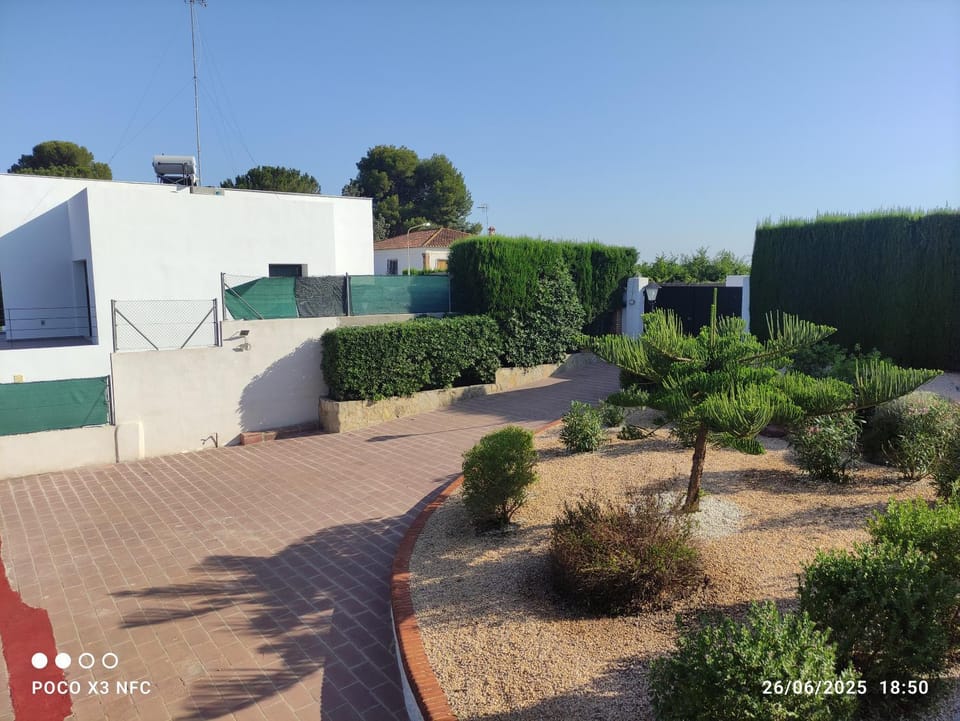 Day, Natural landscape, Garden, Garden view