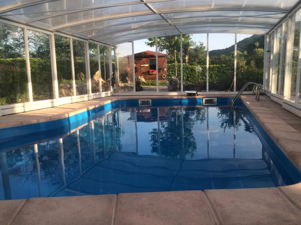 Garden, Garden view, Swimming pool, Swimming pool