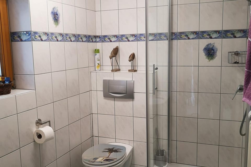 Bathroom, Living room