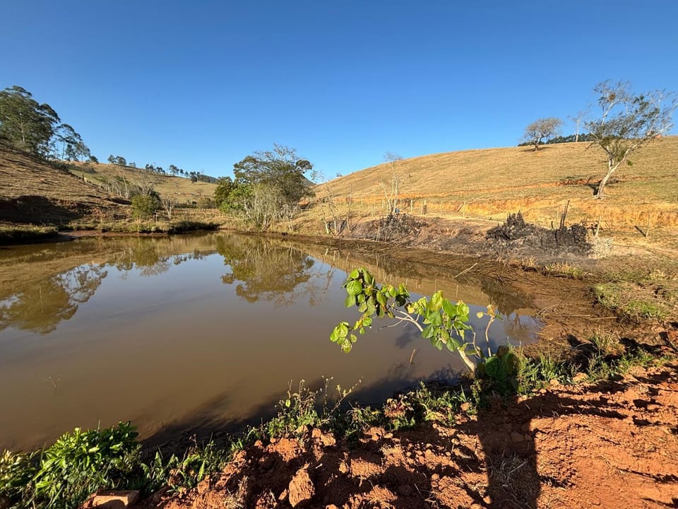 Day, Natural landscape, Lake view