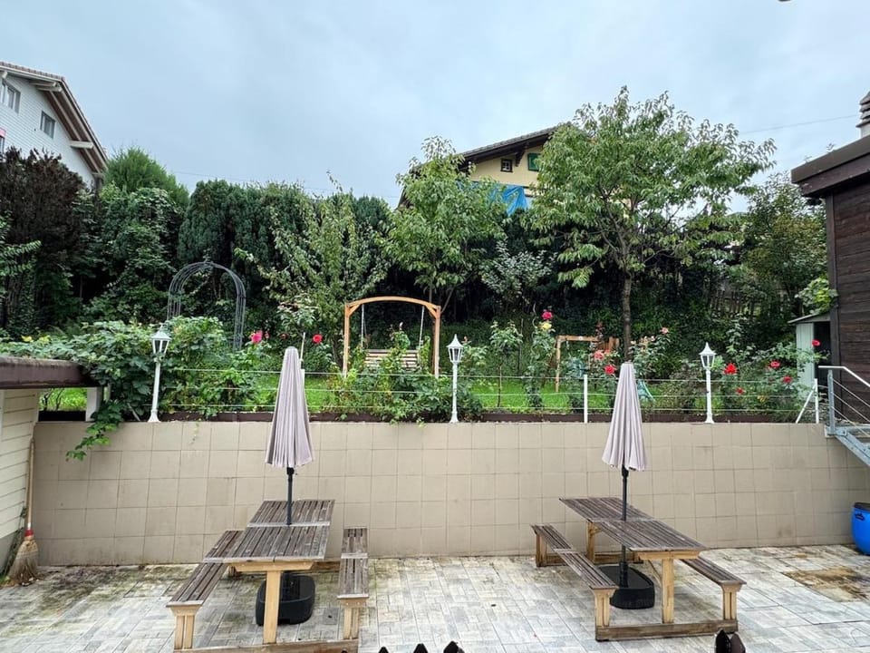 Apartment Pottery - Park view - for 5 guests Apartment in Canton of Bern (Region)