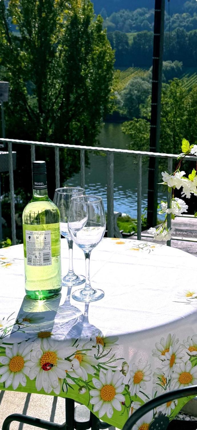 View (from property/room), River view