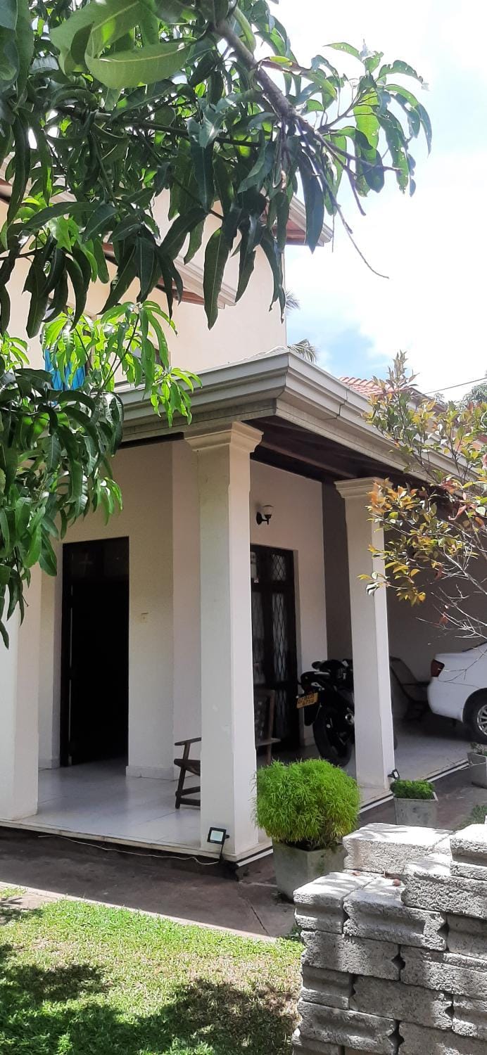 Property building, Garden, Garden view