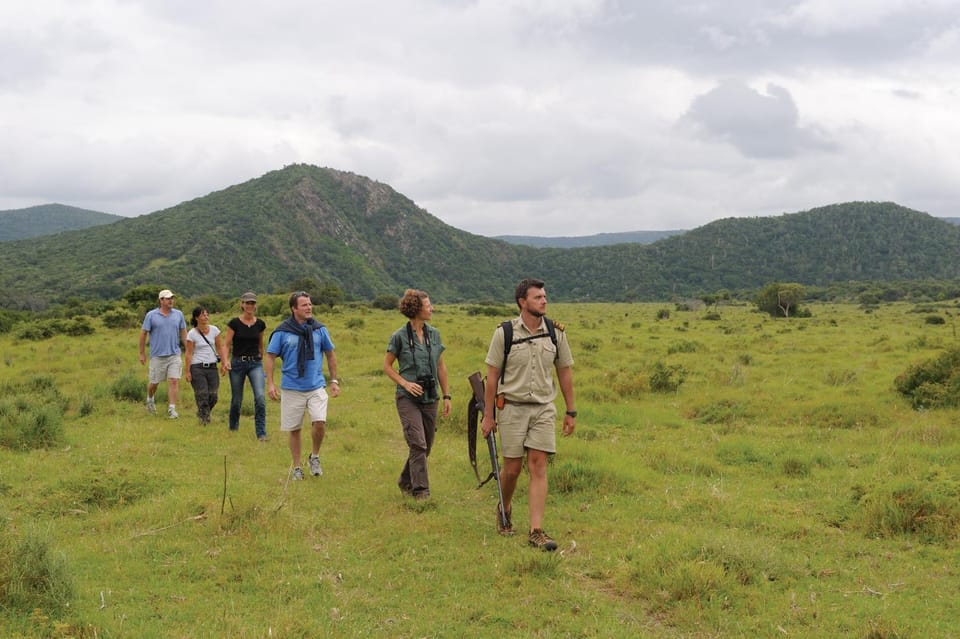 Activities, Hiking, On site, group of guests