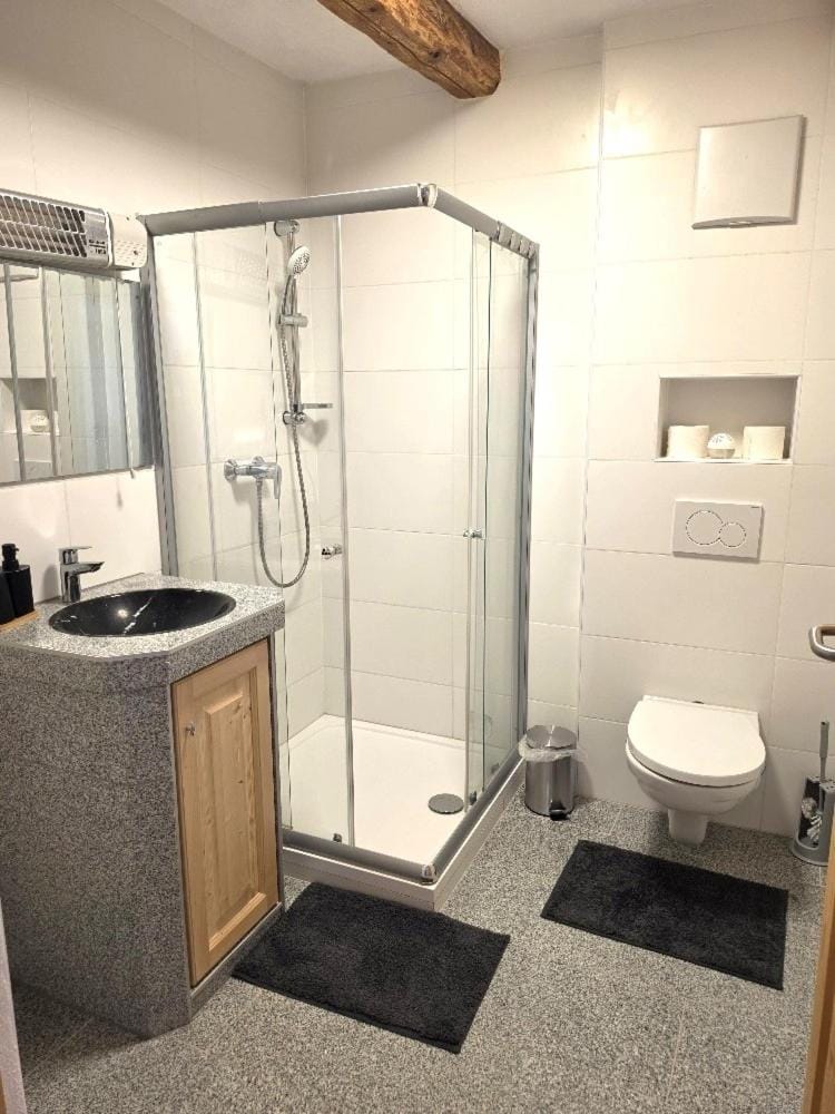 ALTSTADT-Apartmenthaus BOGENSPERGER Apartment in Upper Austria