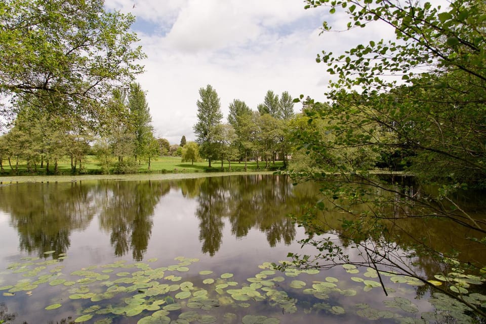 Spring, Day, Natural landscape, Lake view