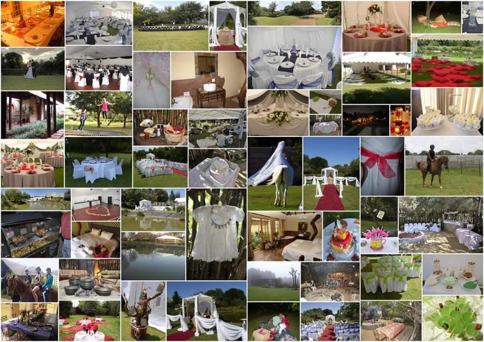 BBQ facilities, Garden, Banquet/Function facilities, Area and facilities, Swimming pool
