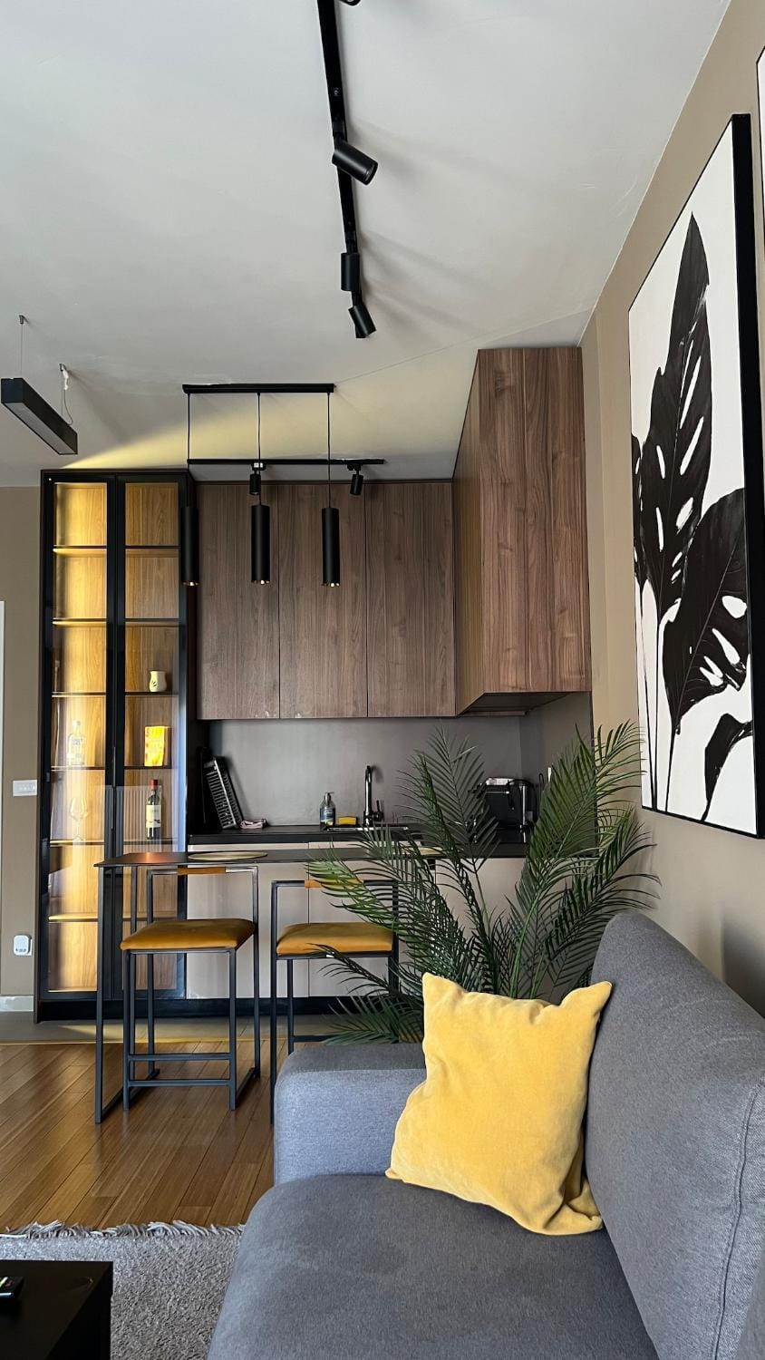 The B Street Suite Apartment in Serbia