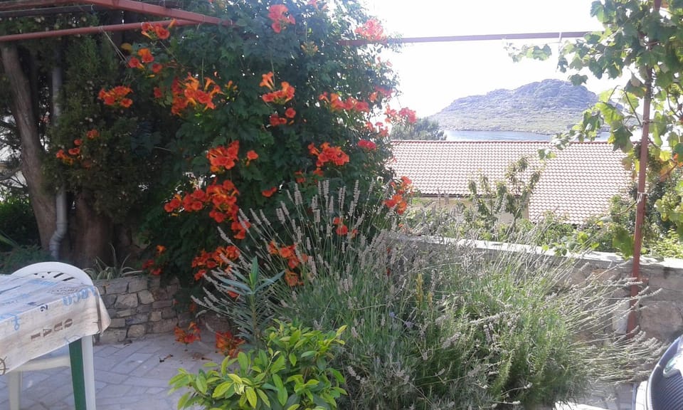 Garden view, Sea view