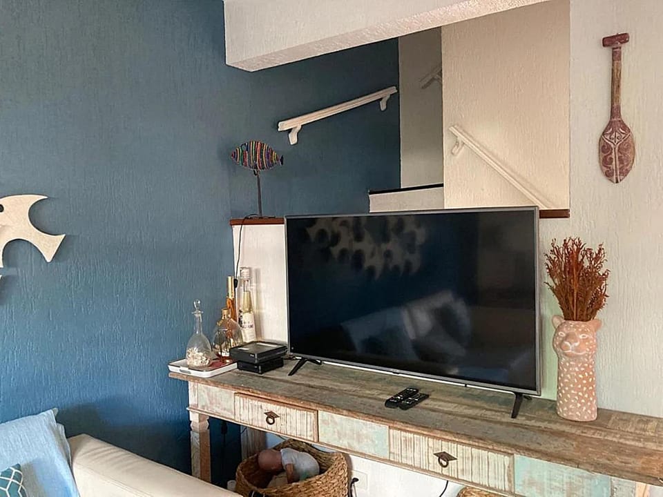 TV and multimedia