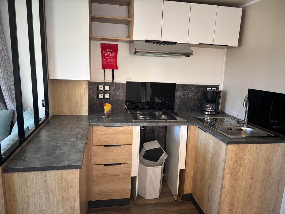 Kitchen or kitchenette, dishwasher, minibar, oven, pet friendly, stove, toaster