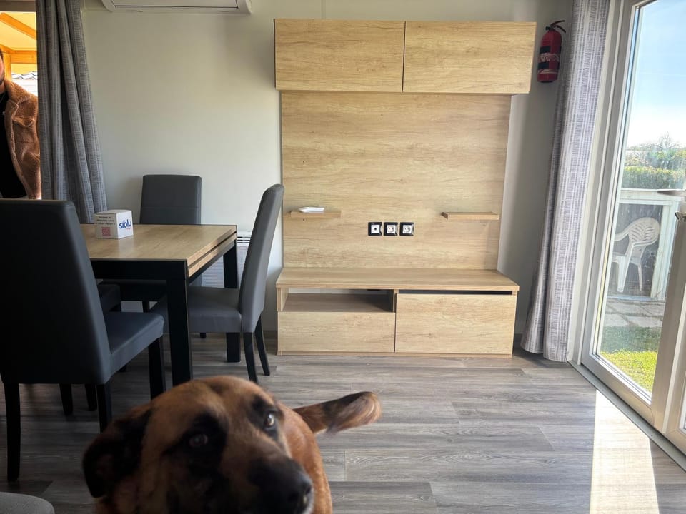 TV and multimedia, Pets