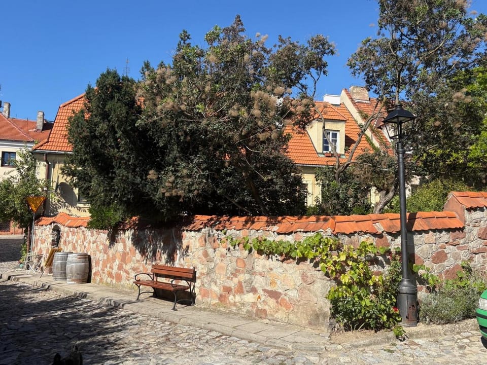 Property building, Day
