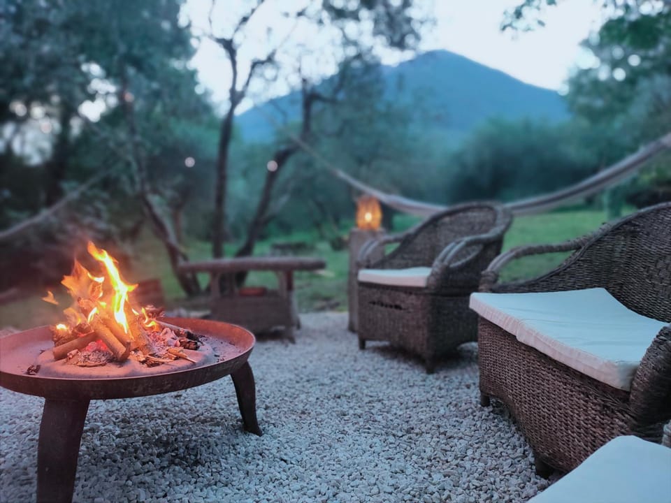 Natural landscape, Garden, Mountain view
