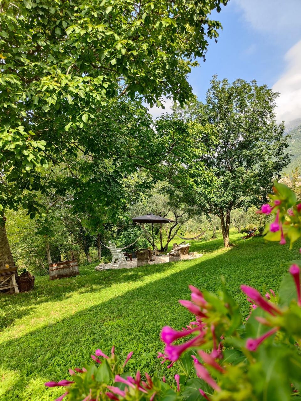 Property building, Garden
