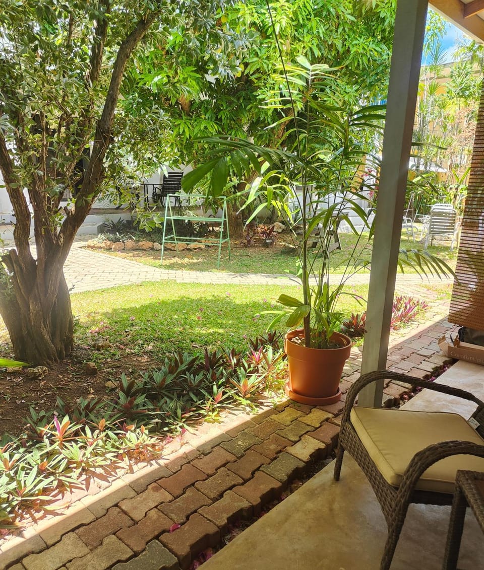 Patio, Day, Garden, Seating area, Garden view