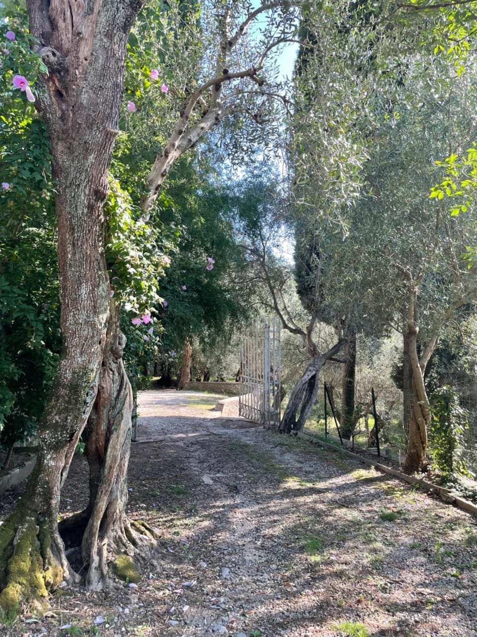 Natural landscape