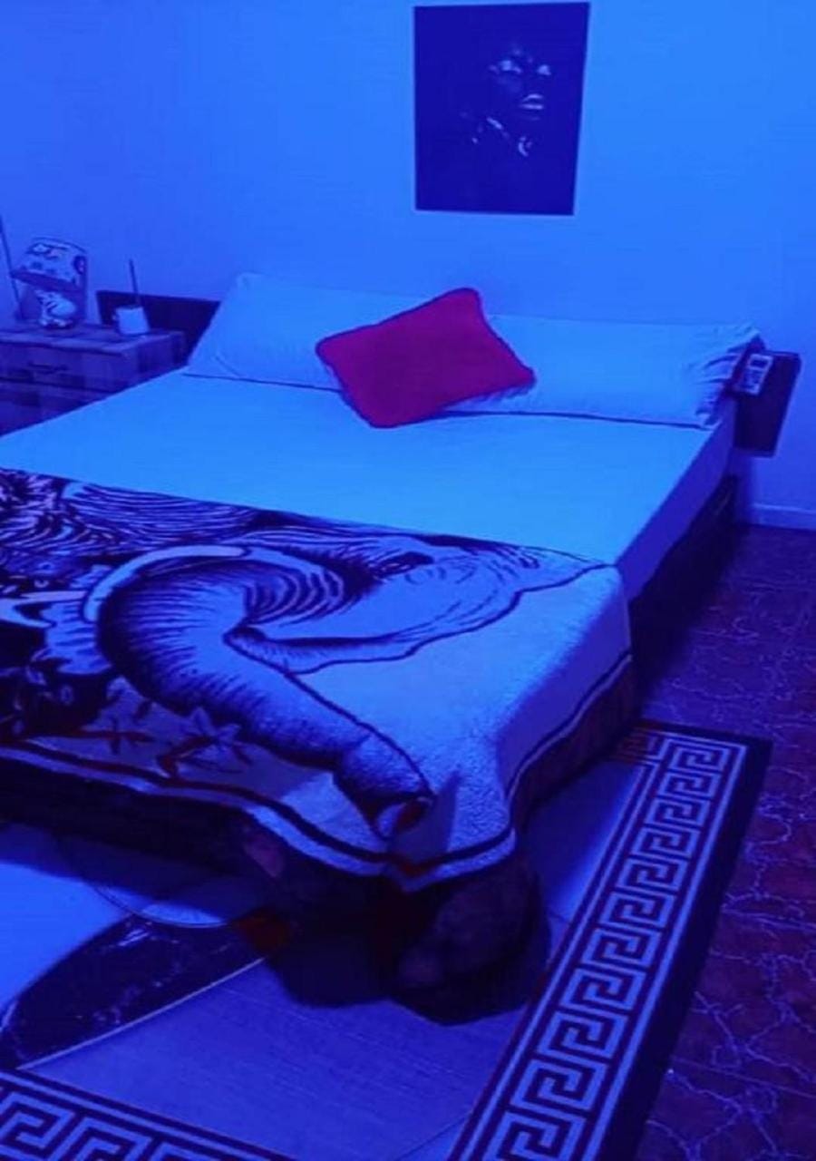Bed, Bedroom, bunk bed, wardrobe