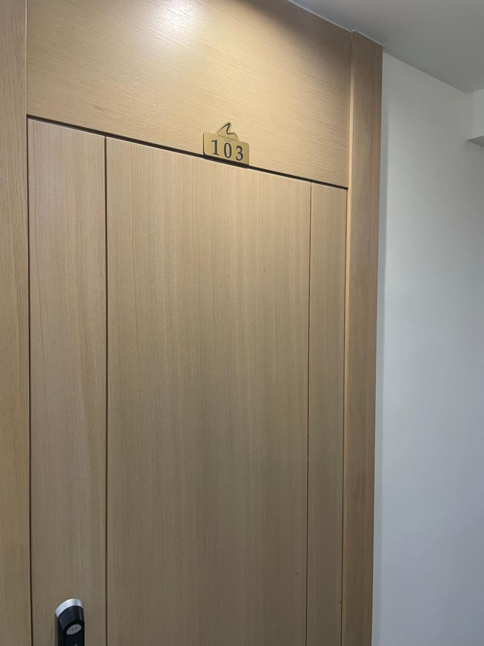 Angela 103 Apartment in Serbia