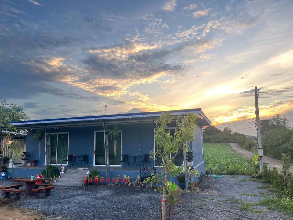 Natural landscape, Garden view, Sunset