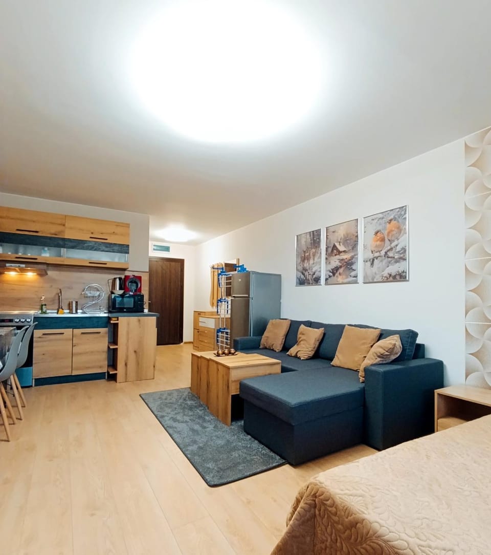 Moderno Studio Park Lane Apartment in Bansko