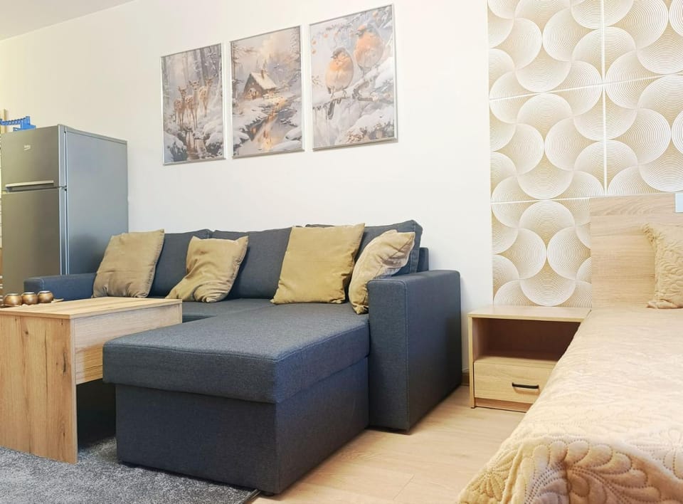 Moderno Studio Park Lane Apartment in Bansko