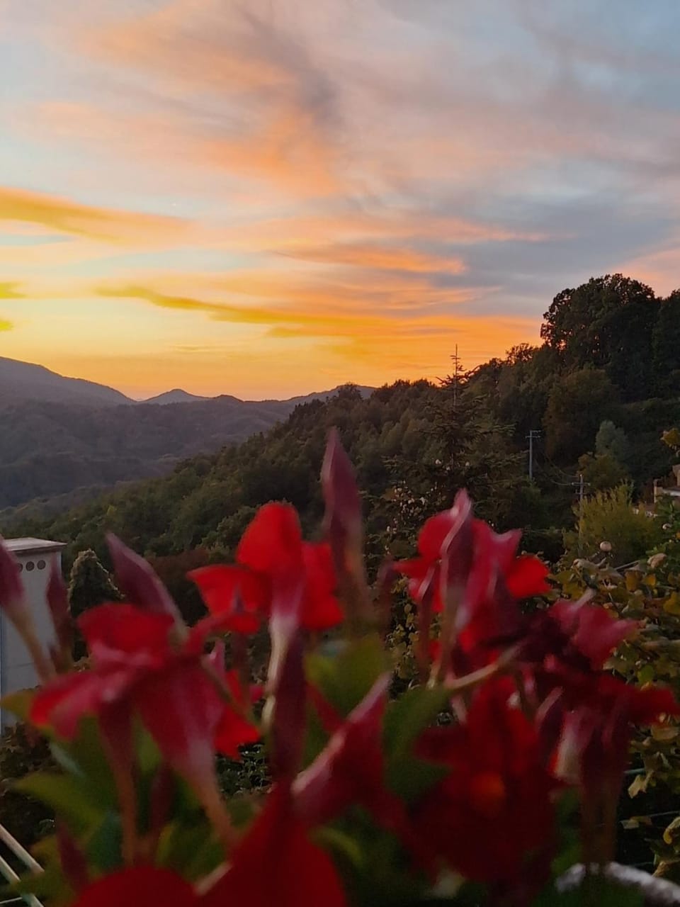 I colori dell'orizzonte Bed and Breakfast in Abruzzo