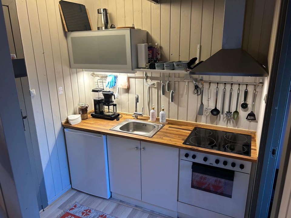 Nice apartment at Golsfjellet Apartment in Viken, Norway