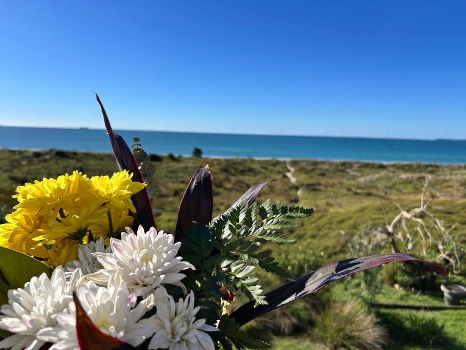 Rare Beachfront paradise Apartment in Tauranga