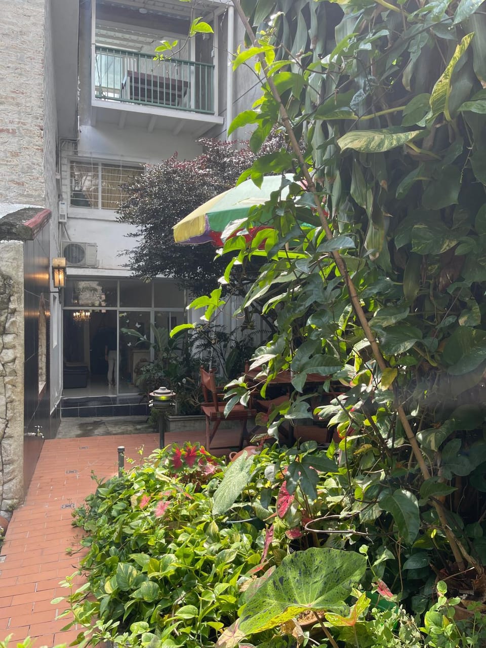 Garden view