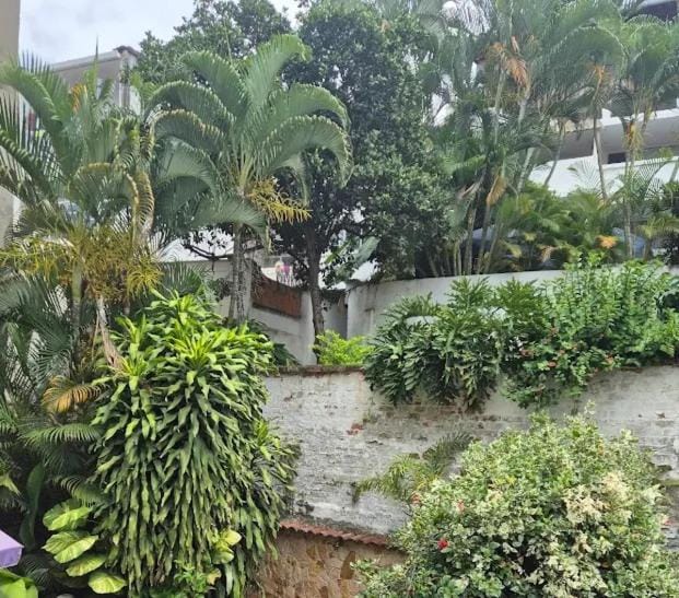 Inner courtyard view