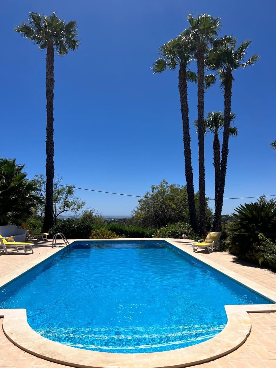 Day, Natural landscape, Pool view, Swimming pool, Swimming pool, sunbed