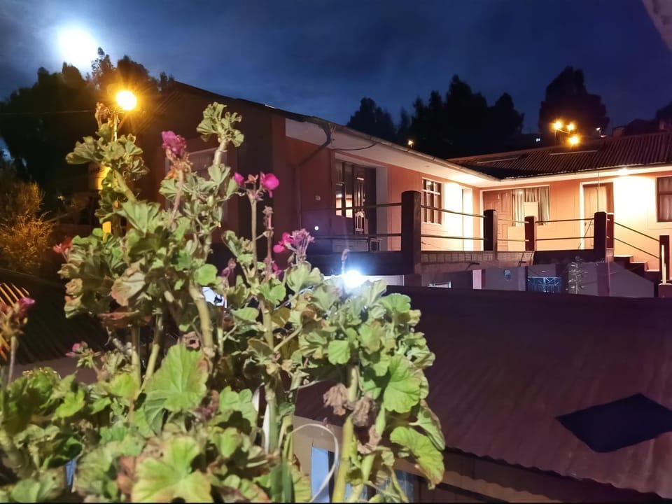 Property building, Night, Garden view