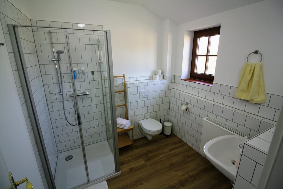 Shower, Toilet, Bathroom, towels