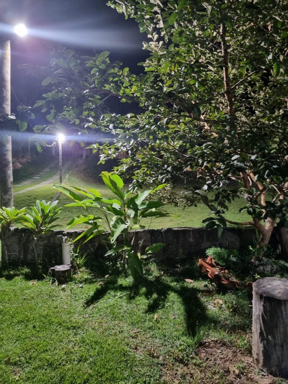 Natural landscape