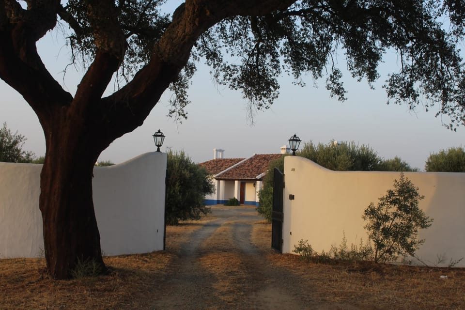 Property building, Day, Neighbourhood, Street view