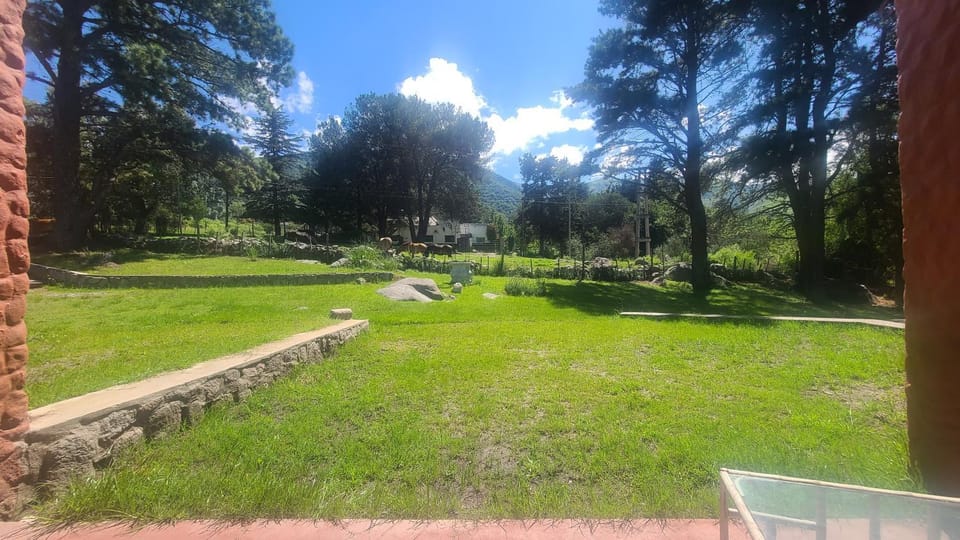 Spring, Day, Natural landscape, Garden, Garden view
