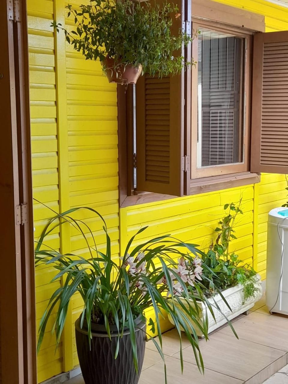 Property building, Spring, Garden, Garden view