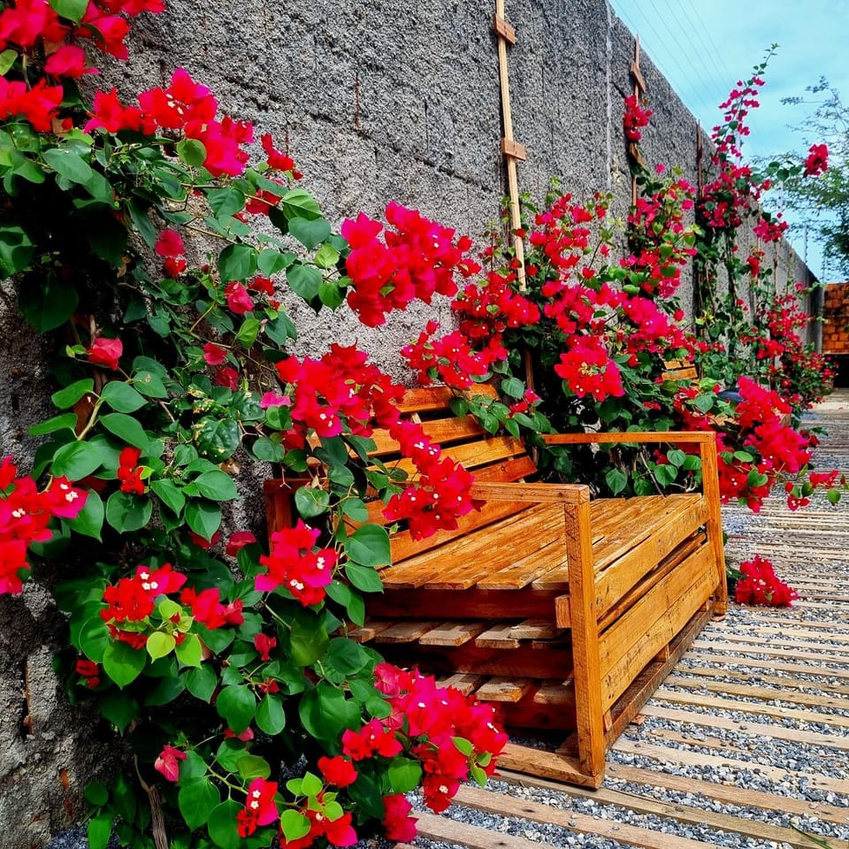 Garden, Garden view