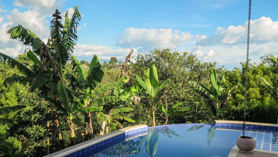 Day, Natural landscape, Garden, Swimming pool, Swimming pool