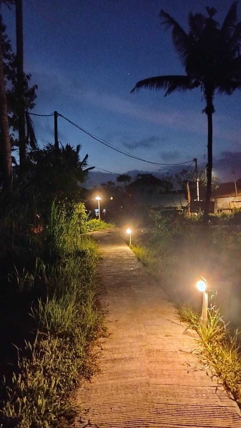 Night
