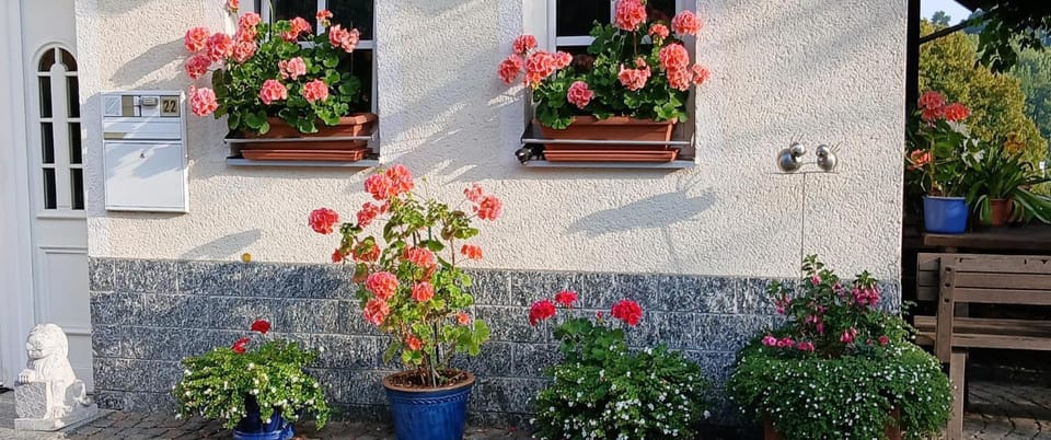 Spring, Garden view