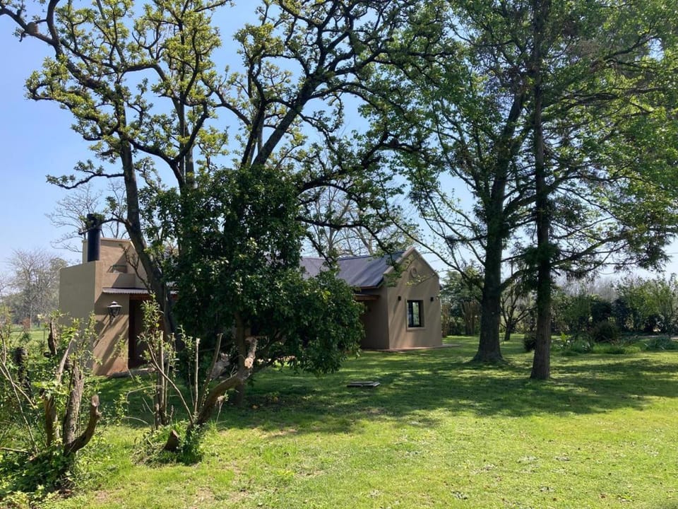 Spring, Day, Garden, Garden view