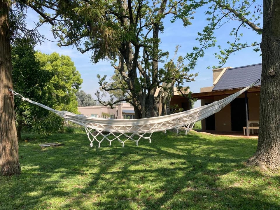 Property building, Spring, Day, Garden