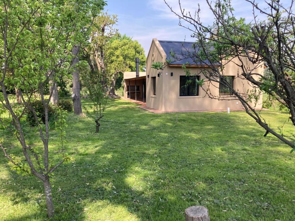 Property building, Spring, Day, Garden view