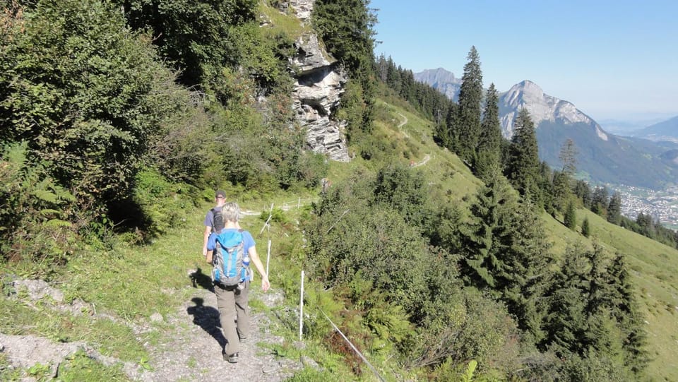Hiking