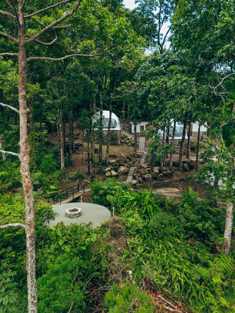 Garden view