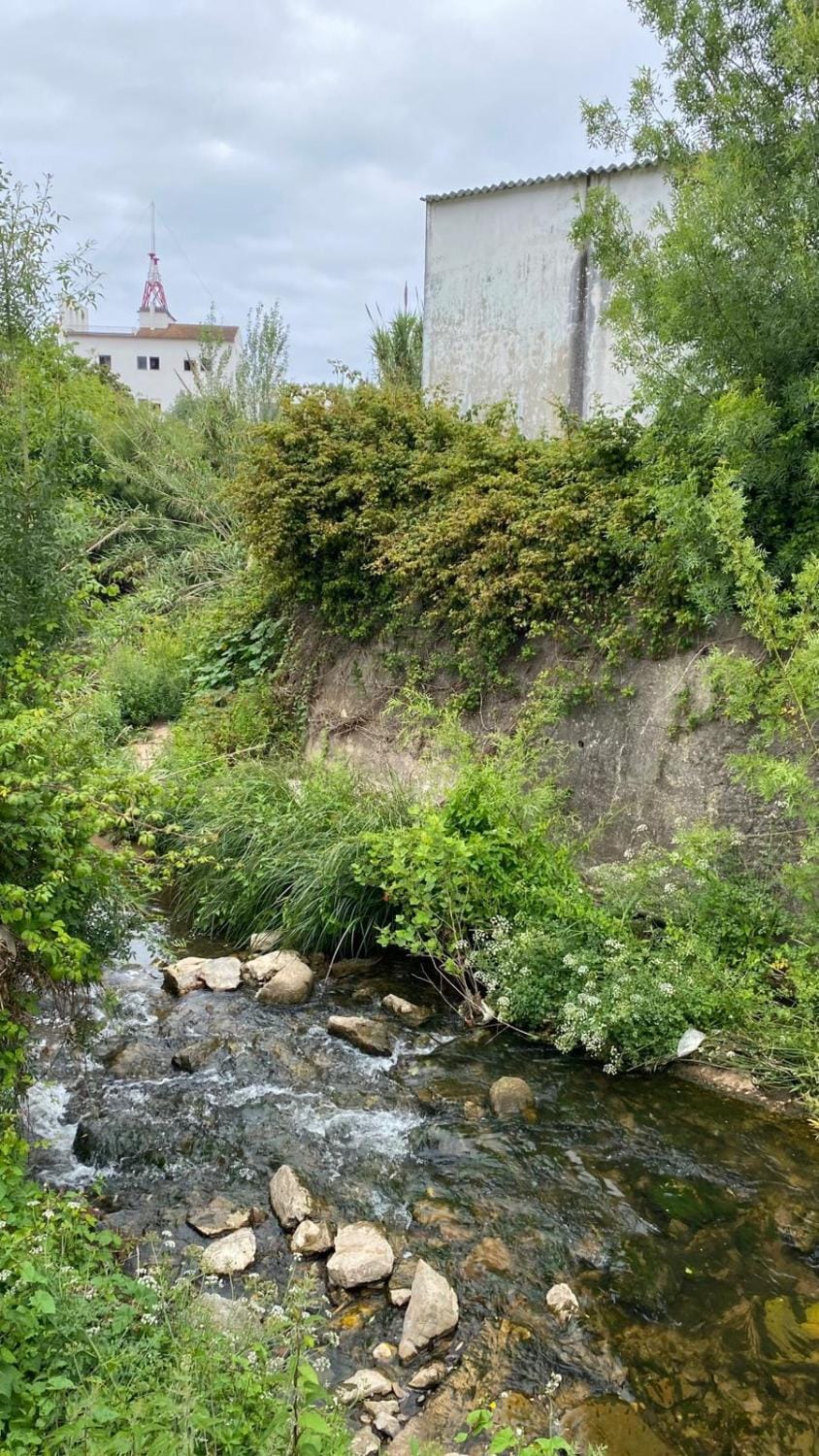 Property building, River view