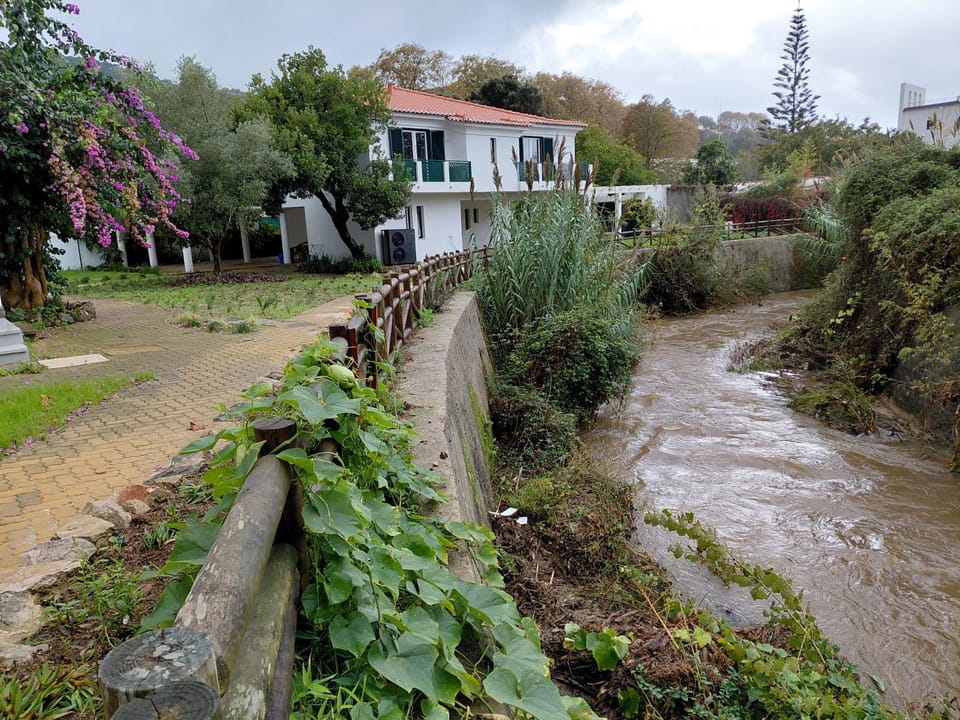 Garden, River view